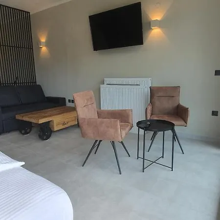 Διαμέρισμα Loft *